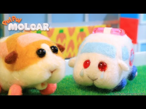 (新ED编辑版) PUI PUI 天竺鼠车车
