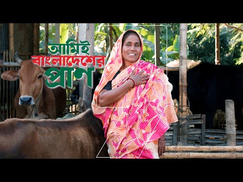 সিরাজগঞ্জের মোসা: মিনা খাতুনের মতো খামারিরা তাই গর্ব নিয়ে বলেন- 'আমিই বাংলাদেশের প্রাণ'