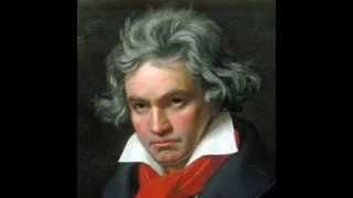 Video thumbnail of "Ludwig Van Beethoven - A melody of tears"