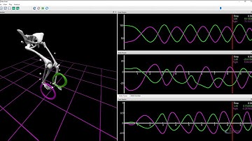 Cycling Analysis in The MotionMonitor xGen