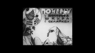 Почему у носорога шкура в складках (1938) мультфильм