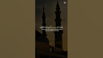 احترم القران الكريم