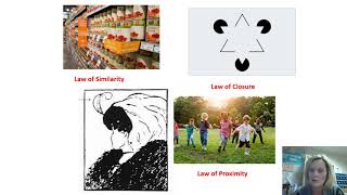 Depth Perception & Perception Set Lesson