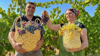 Отправились на Виноградники, чтобы Сварить 25 литров Виноградного Варенья на зиму!