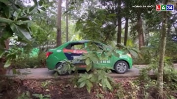 Cần Thơ: Bắt nhanh nghi phạm khống chế nữ tài xế taxi cướp tài sản | LONG AN TV