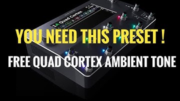 QUAD CORTEX, FREE AMBIENT PRESET .