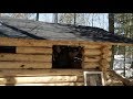 Building a Cedar Sauna in the Forest using hand tools, Ep 23: Windows and Walls