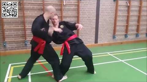 Panglipur Pencak Silat training by Patrick Baas (Sam Lung Martial) -part1