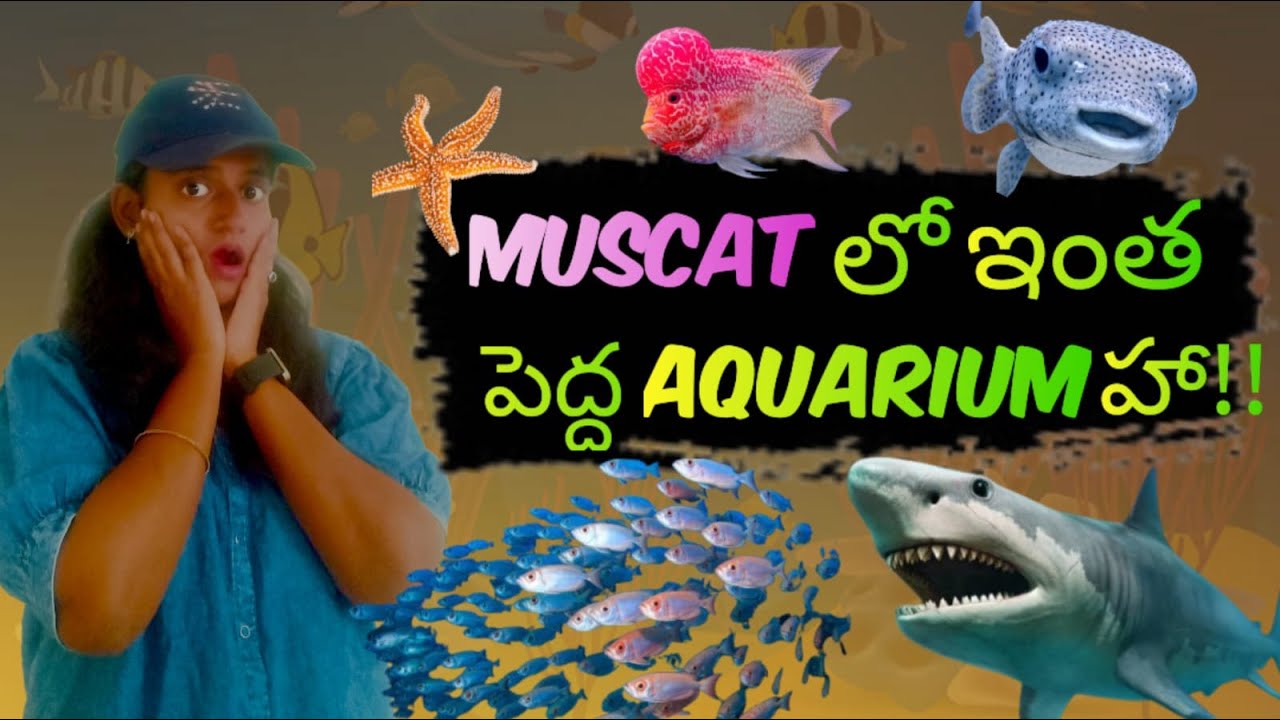Oman లో అద్భుతమైన fish aquarium || muscat fish aquarium ||muscat mall ||Travel vlog
