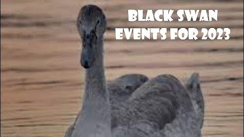 Black Swan Events for the rest of 2023 #crash #inflation #fear #blackswan #money #recession