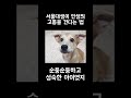 서울대생이 인생의 고통을 이겨내는 방법