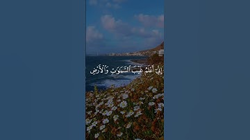 🤍يشرح الصدر🤍القرآن الكريم قصير🤍القارئ: صلاح بو خاطر 🤍