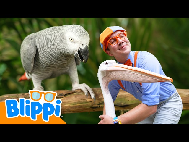 動物園の飼育員さんにちょうせん！🦒🦁 | シンガポールアドベンチャー