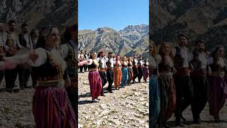 Halay grubunun muhteşem gösterisi  #halay #halaybasi #şefo #kurdish #kurtce #düğün #gelin #batm