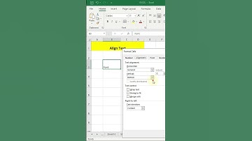 Align Text in Center in excel sheet 🙋