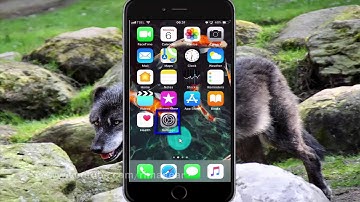 How to set screen color filters as Dreuteranopia on iPhone 6