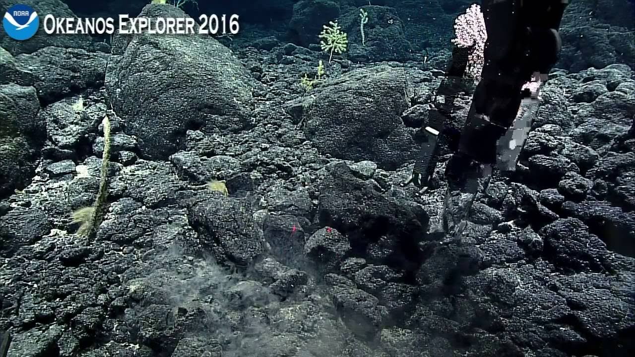 Okeanos Explorer Video Bite: How does ROV Deep Discoverer collect deep sea samples?