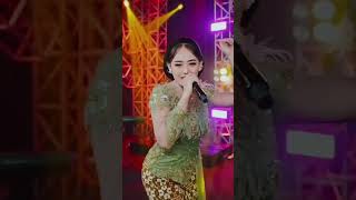 Ananya bachi aapatti court court court c