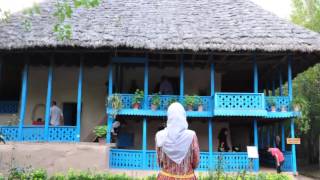 وطن    علیرضا عصار