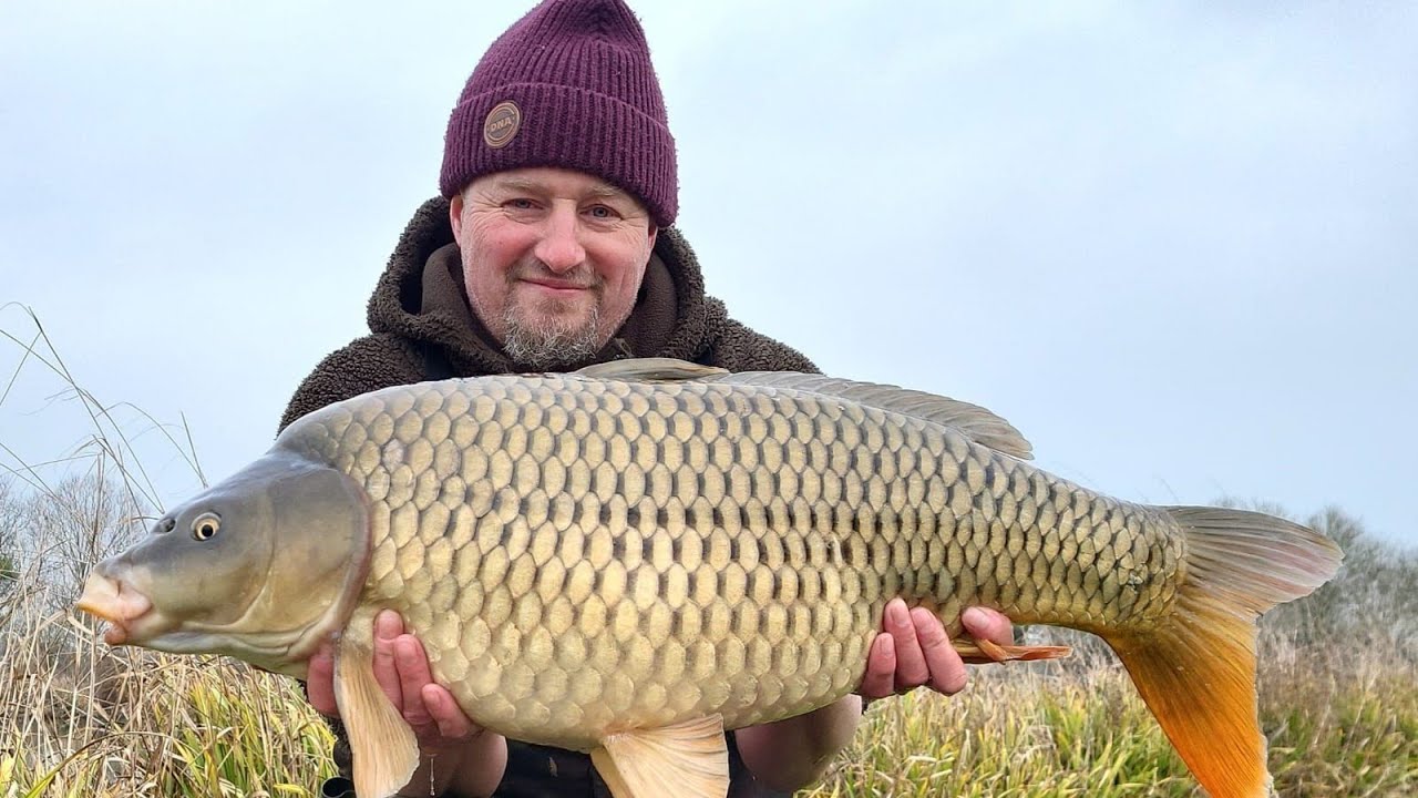 January zig carp catch