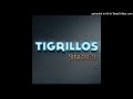 Los Tigrillos -La Ética (Audio)