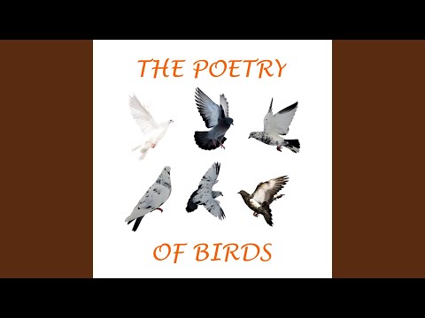 Anne Bronte - The Captive Dove