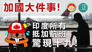 20210330A 加拿大件事,印度所有抵加航班驚現十九! | 正向分析