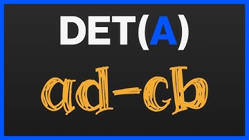 Determinant of a Matrix Explained | 2×2 and 3×3 Intuition