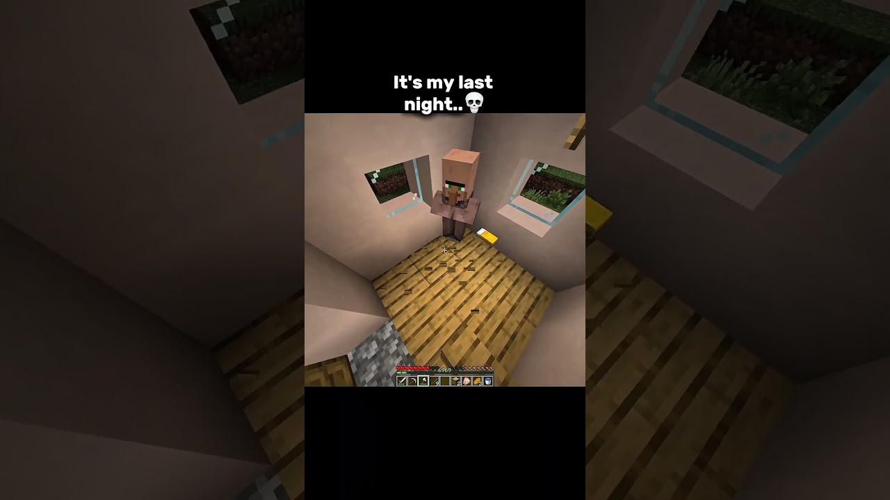 Minecraft this is the end 💀