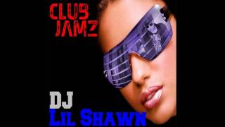 Til The World Ends(DJ Lil Shawn Remix)