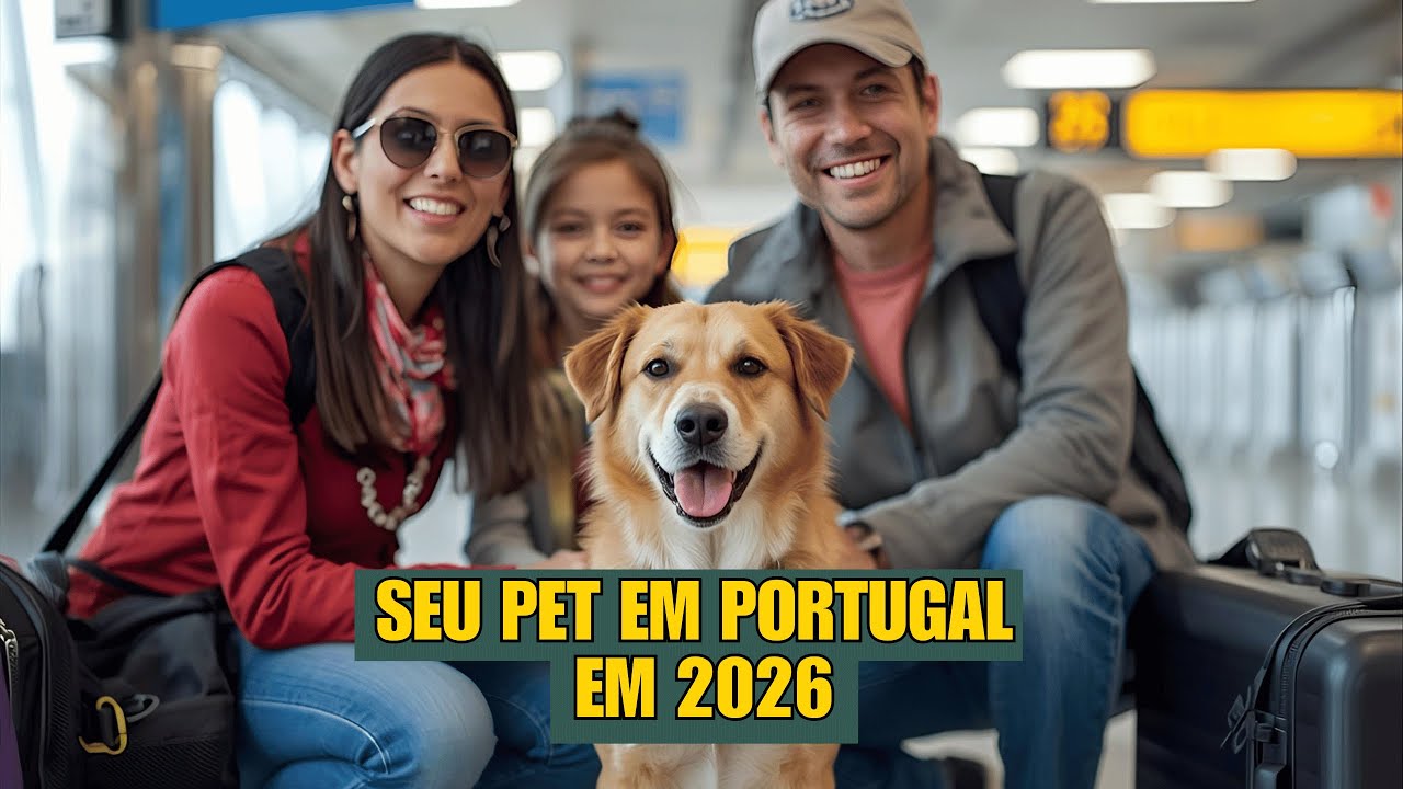 Passo a Passo Como Preparar a Viagem do Seu Pet Para Portugal em 2026