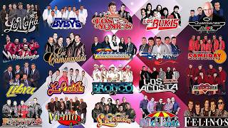 BRONCO, LOS TEMERARIOS, BUKIS, BRYNDIS, ACOSTA, CAMINANTES, YONICS, MIER 💞 GRUPERAS 90S DEL RECUERDO