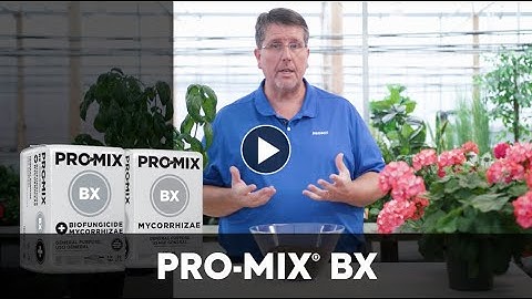 PRO-MIX® BX