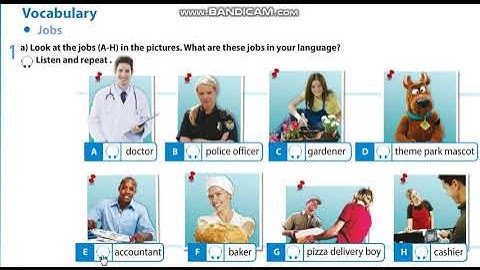 Excel 5 Module 4 Jobs (vocabulary)