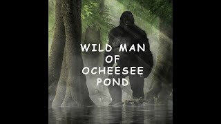Ocheesee Pond Wild Man: A 19th Century Bigfoot capture in Florida