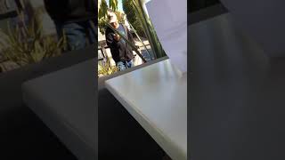Guy touches the leaves of a plant and gets scratched then start punching and fighting with it
