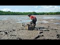 saking banyaknya kerang setiap langkah selalu berhati-hati