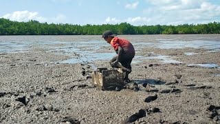 saking banyaknya kerang setiap langkah selalu berhati-hati