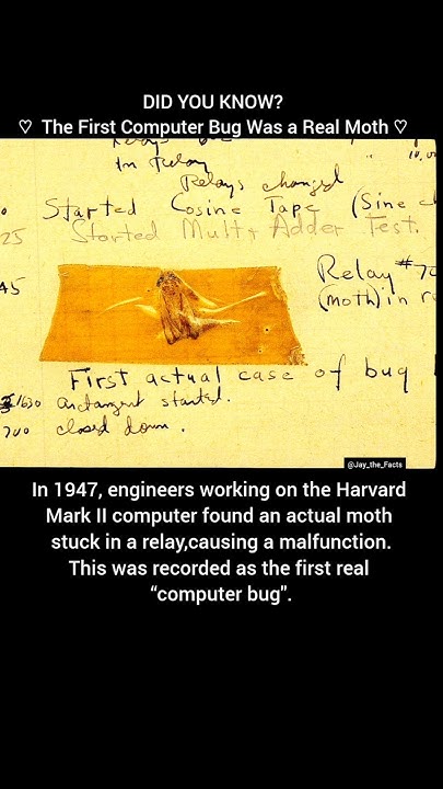 The First Computer Bug #shorts - YouTube