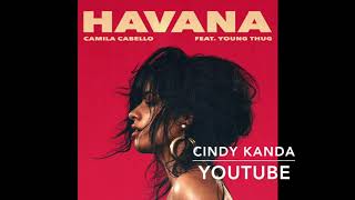Camila Cabello - Havana (Male Version w/ No Rap)