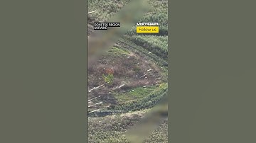 The Entire Ukrainian Frontline is Covered With Fiber Optics From FPV Drones #warinukraine #drone