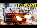 We Tuned a Lamborghini SVJ on the Dyno in Italy! Met up with Schaefchen in Austria!