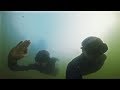 Gopro  wetsuit test 720p