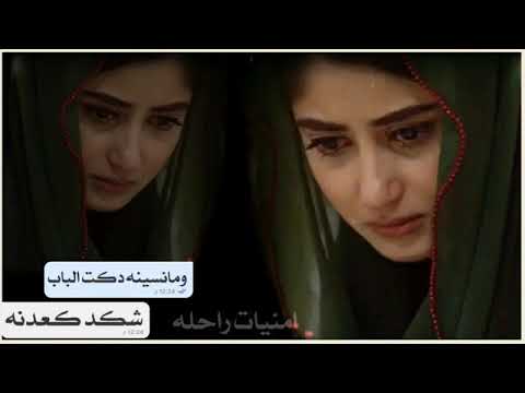 زكرتات ابومريم