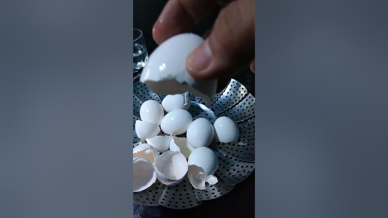 Eggshells // How do you fertilize plants with eggshells? Can you put