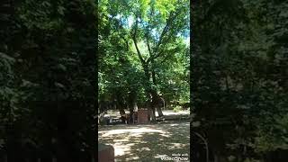 Grup Öz Diyar Ali Buzcu Süper Bir Parça