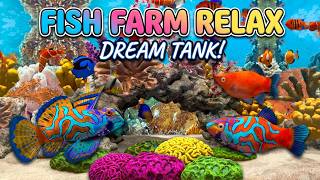 Fish Farm Relax — Official Trailer | Build & Customize Your Cozy 3D Aquarium 🐠 screenshot 5