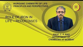 Week 7-Lecture 31