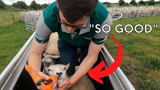 WORMING LAMBS WITH A DIFFERENCE | ZOLVIX DRENCH GUN