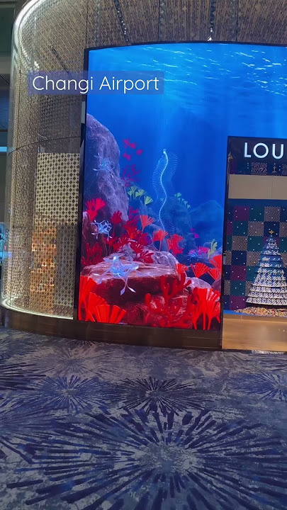 Amazing Changi Airport Singapore #fyp #changi